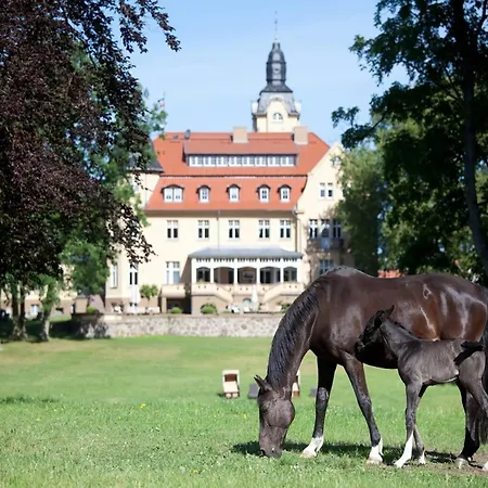 Yvonne In Im Bernstein